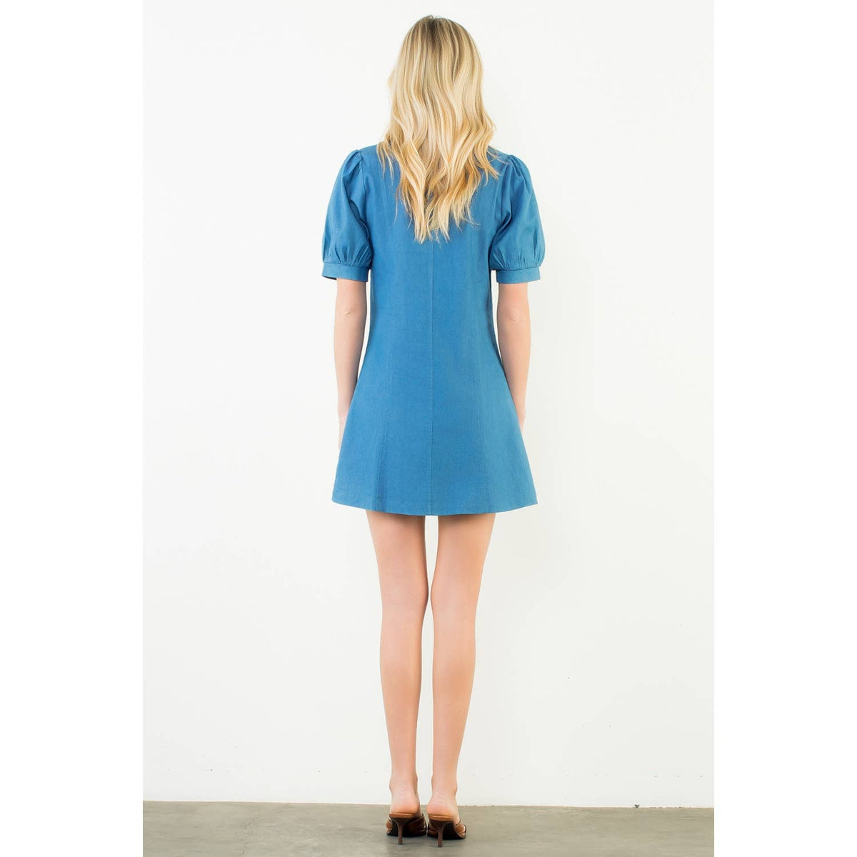 Addie Denim Button Up Dress