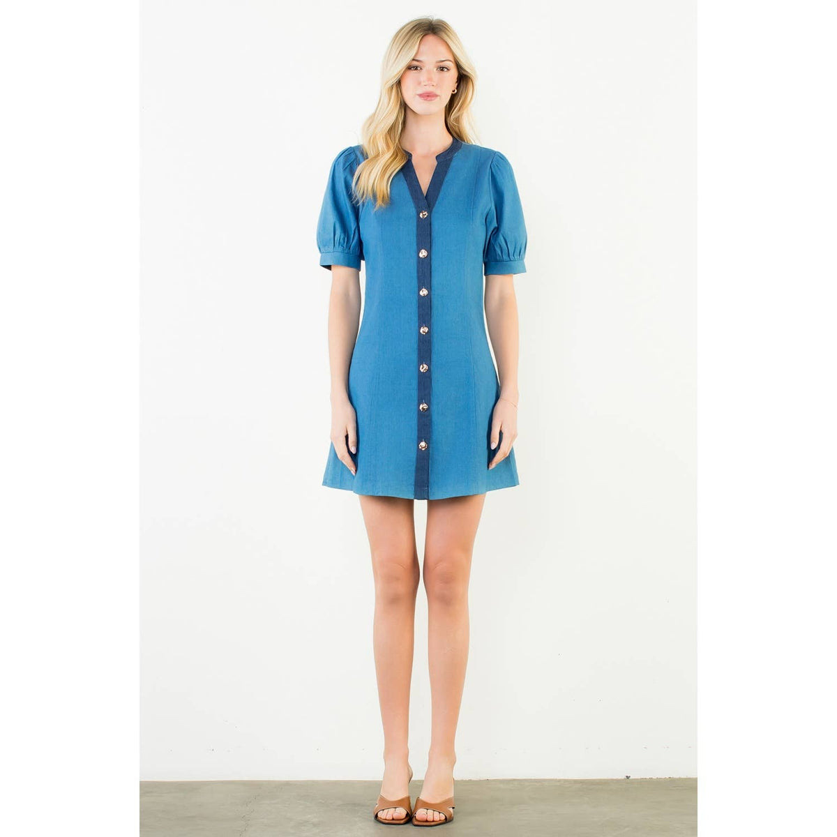 Addie Denim Button Up Dress