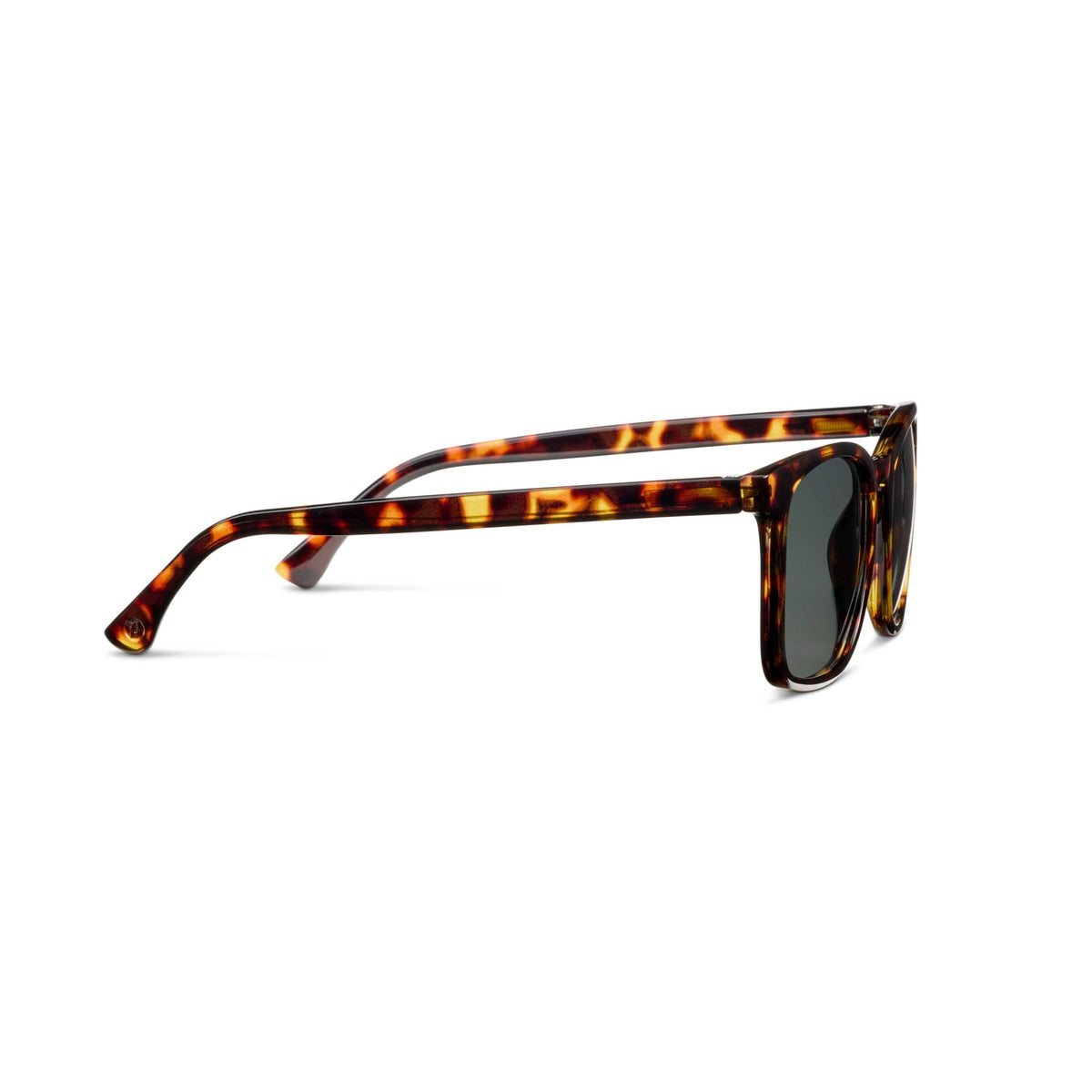 Mateo Sunglasses