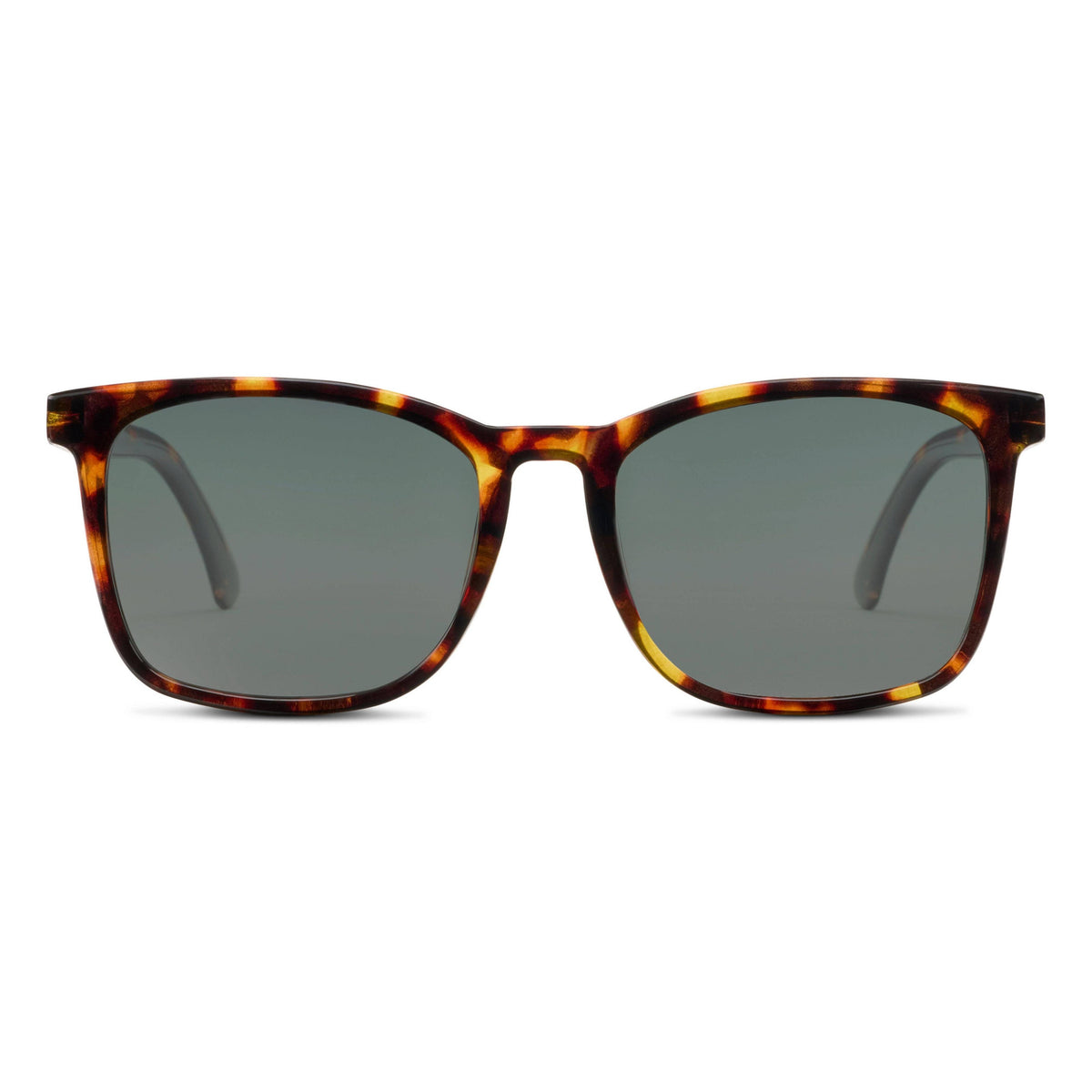 Mateo Sunglasses