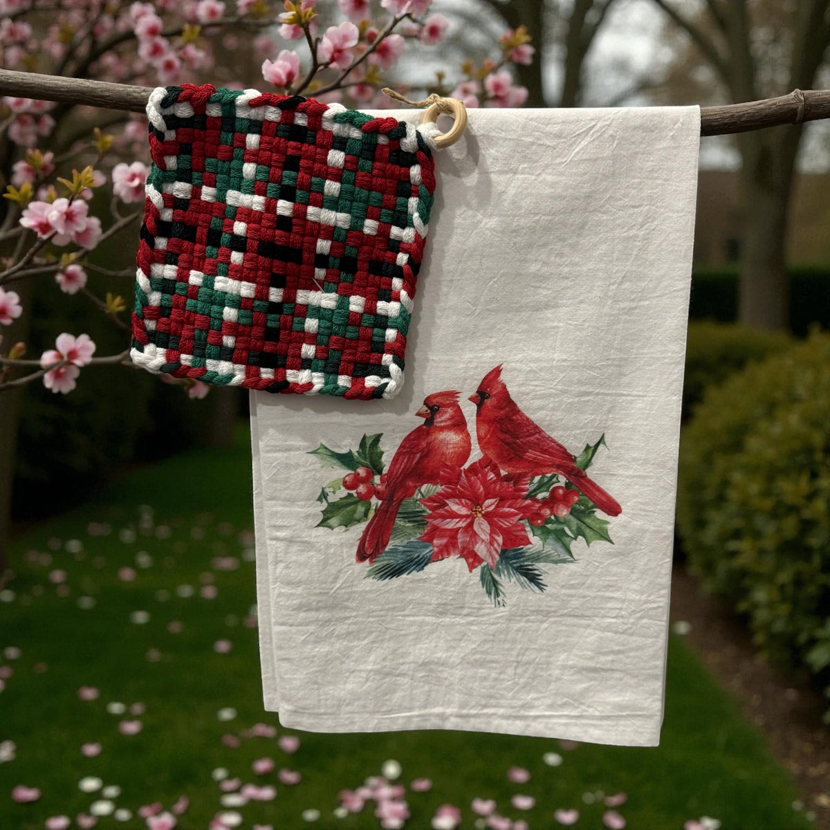 Loopty Loops Tea Towel/Potholder Set