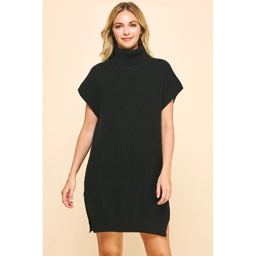 Turtle Neck Sweater Dress