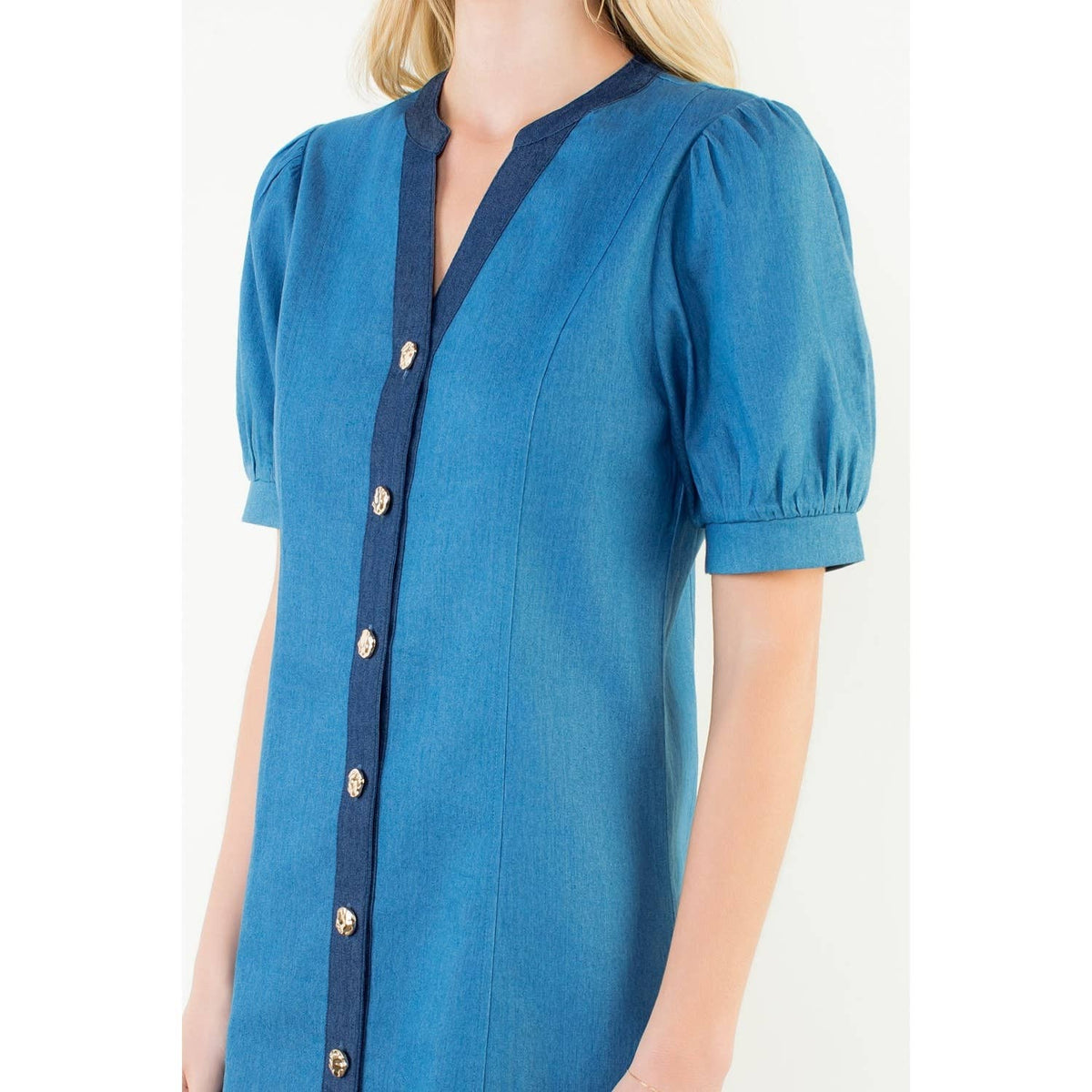 Addie Denim Button Up Dress