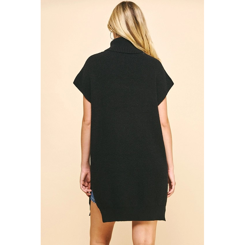 Turtle Neck Sweater Dress