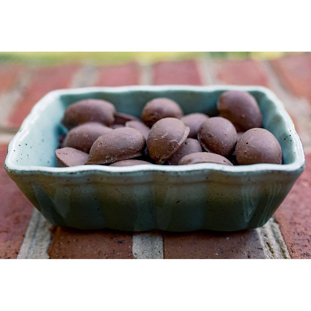 Milk Chocolate Covered Pecans