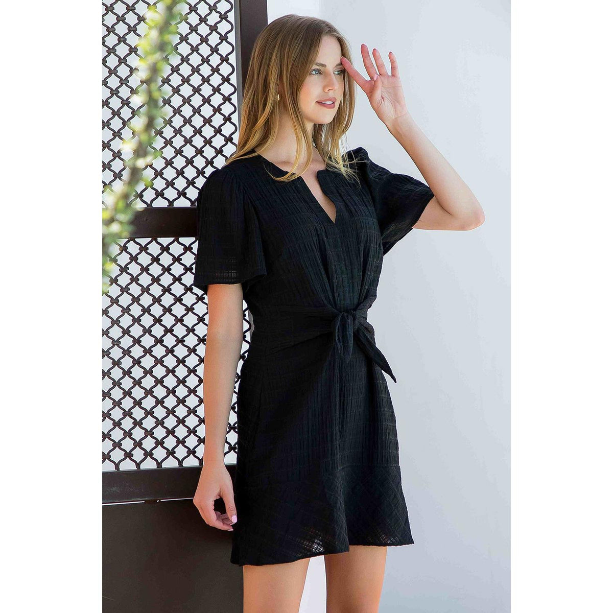 Tie Waist Notch Neck Textured Dress