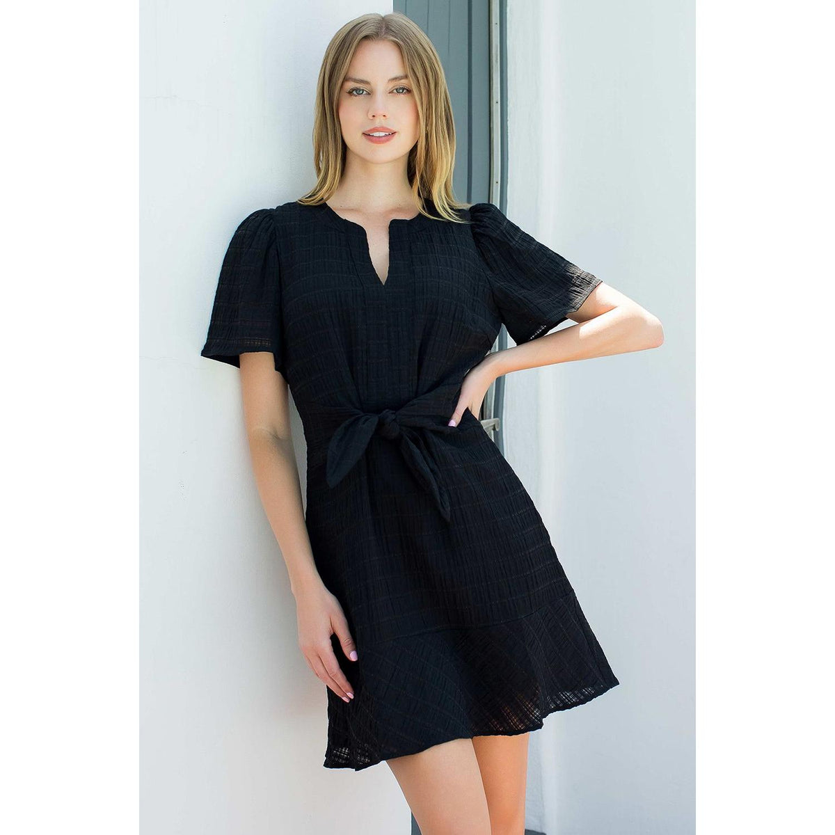 Tie Waist Notch Neck Textured Dress